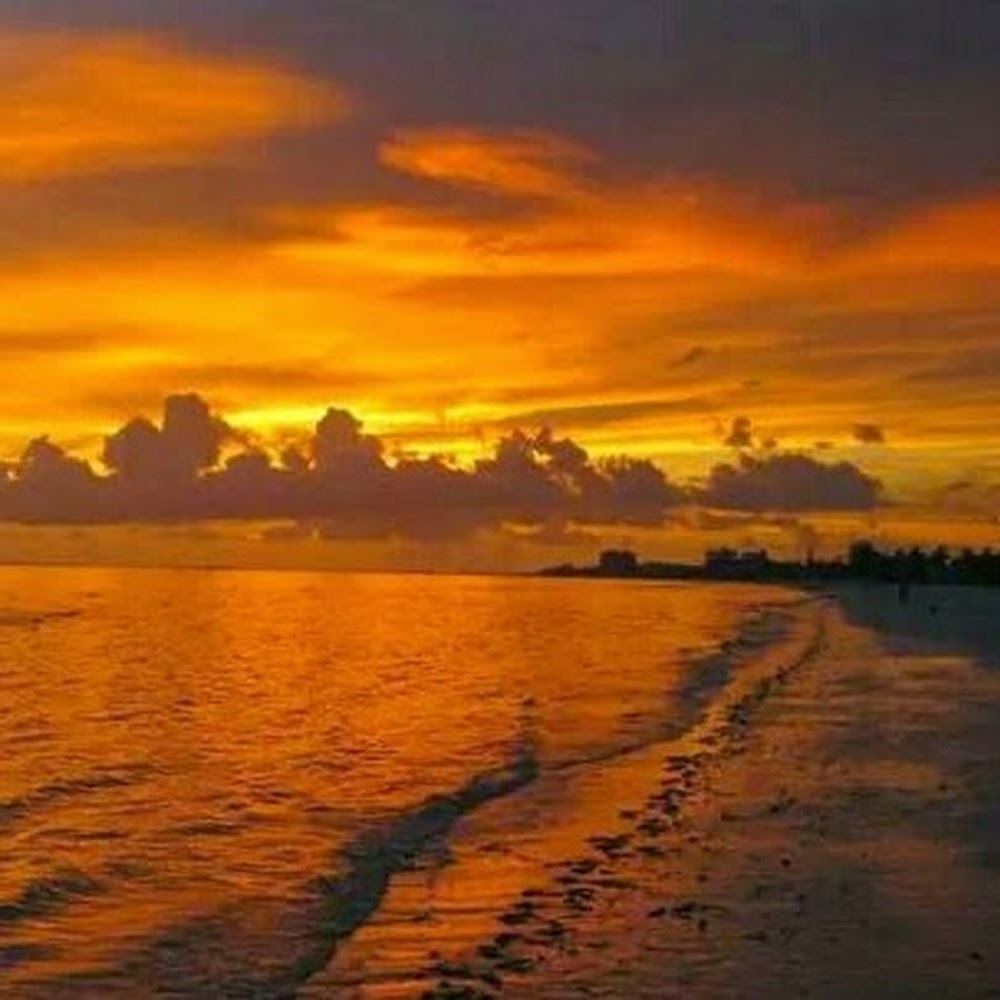 Meet your Posher, Leighann